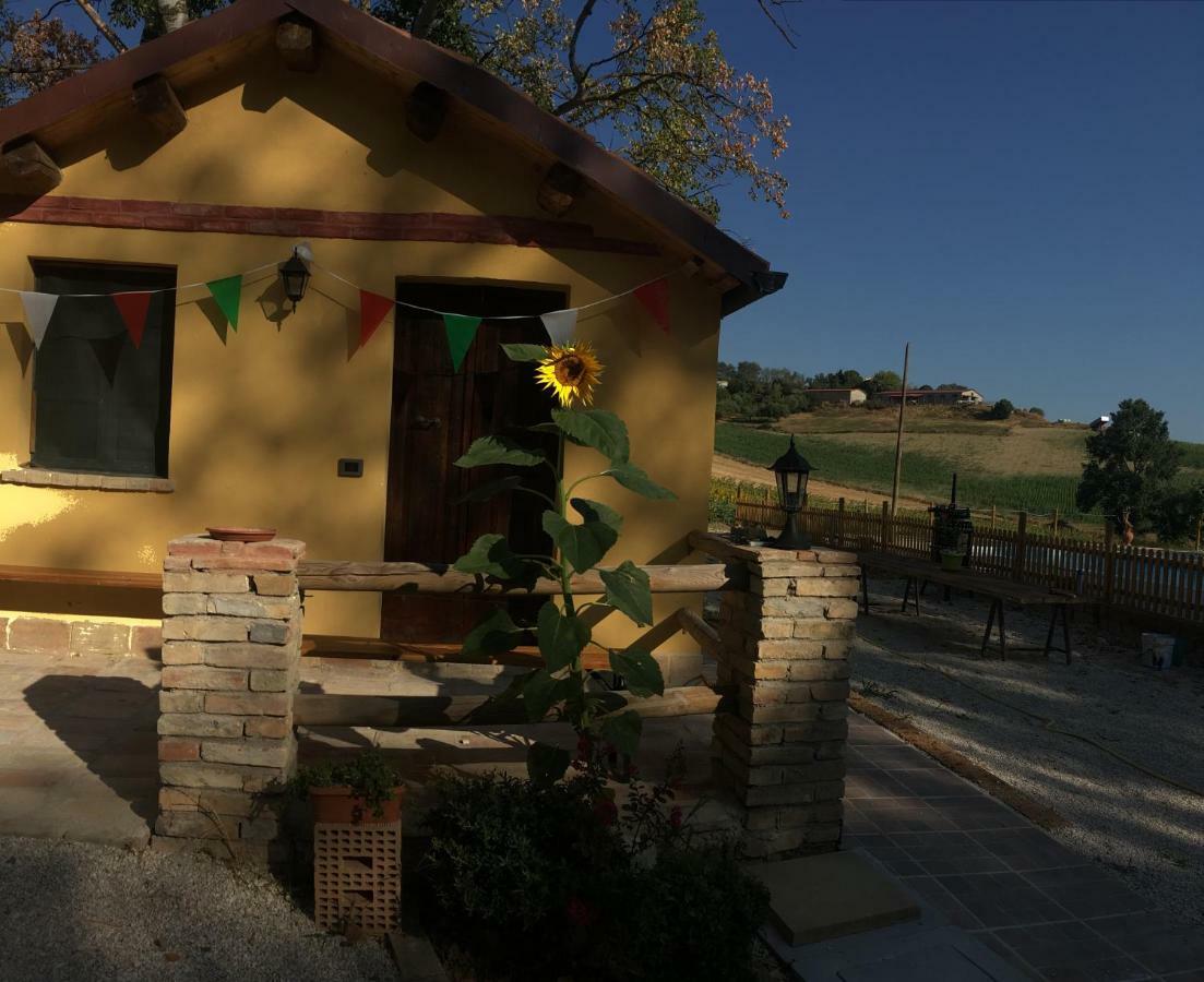 Agriturismo Fattoria Del Colle ليسي المظهر الخارجي الصورة
