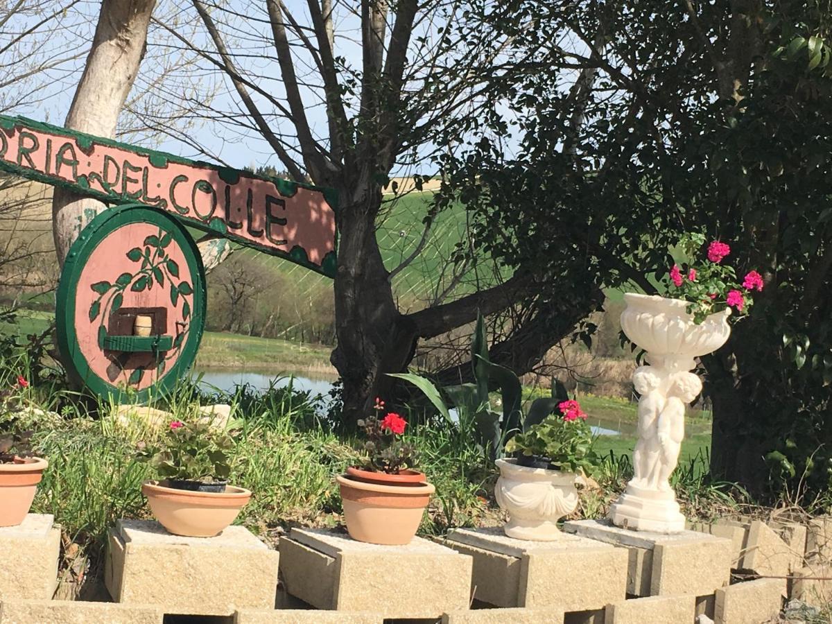Agriturismo Fattoria Del Colle ليسي المظهر الخارجي الصورة