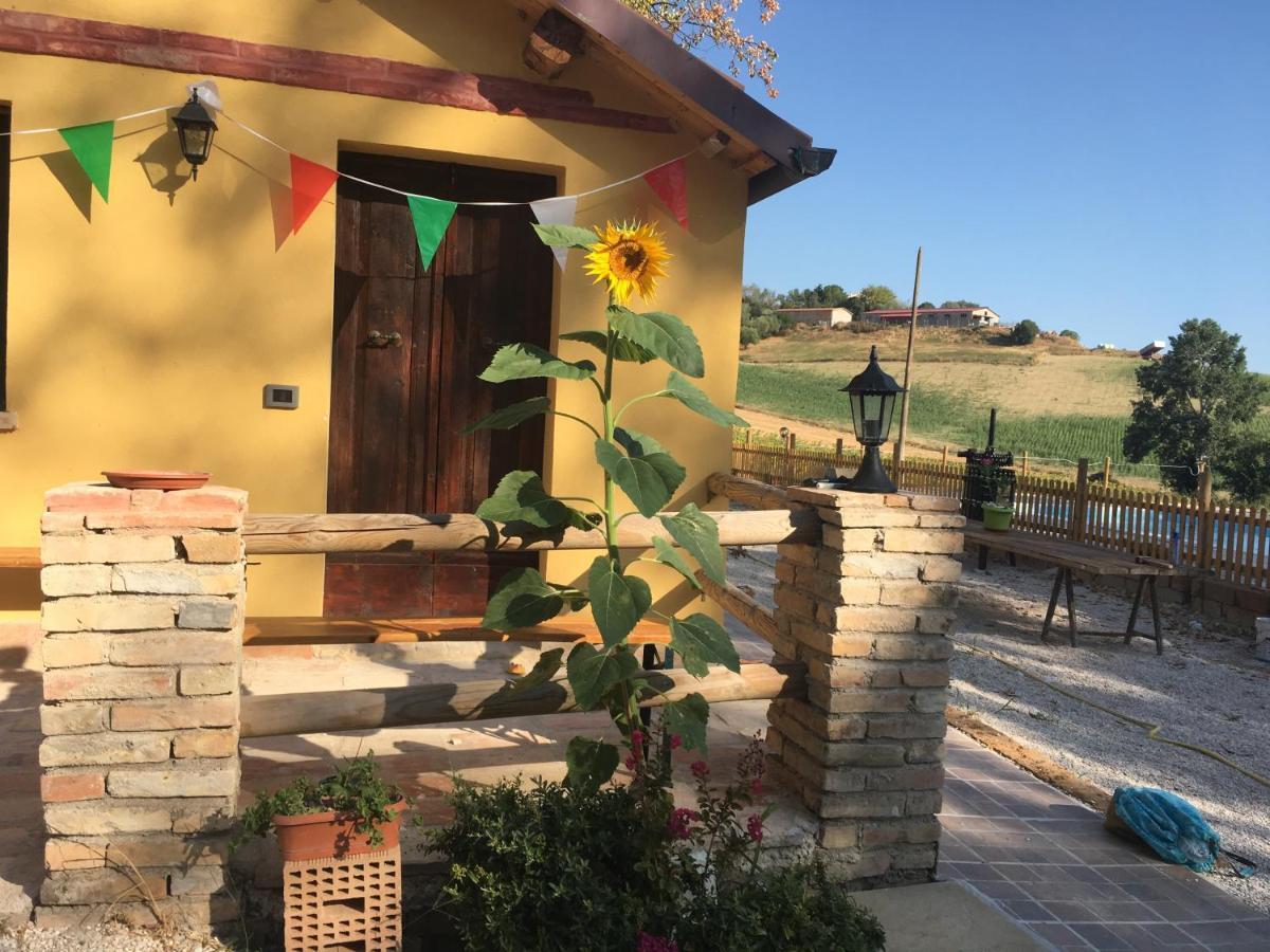 Agriturismo Fattoria Del Colle ليسي المظهر الخارجي الصورة