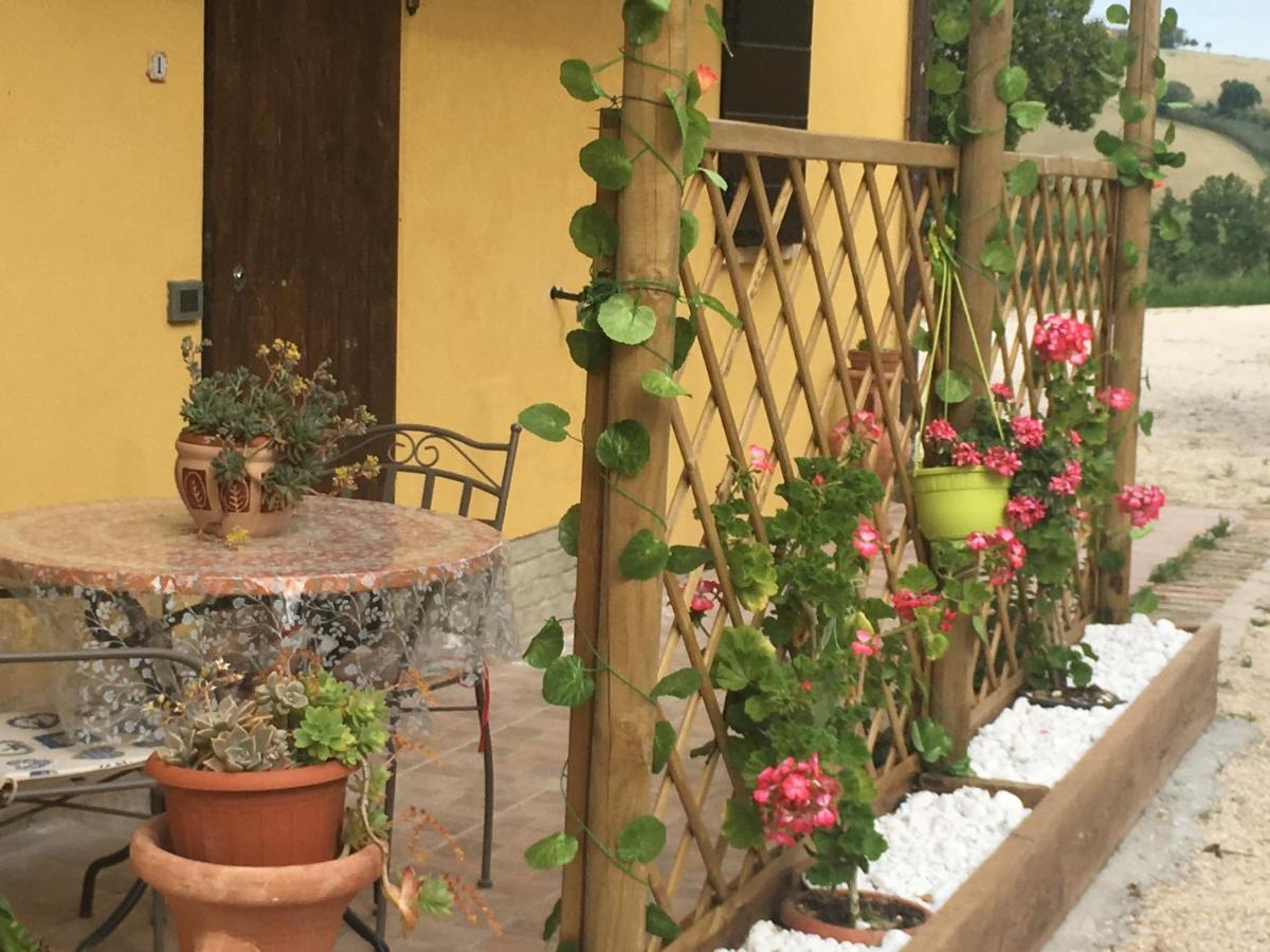 Agriturismo Fattoria Del Colle ليسي المظهر الخارجي الصورة