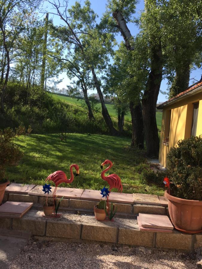 Agriturismo Fattoria Del Colle ليسي المظهر الخارجي الصورة